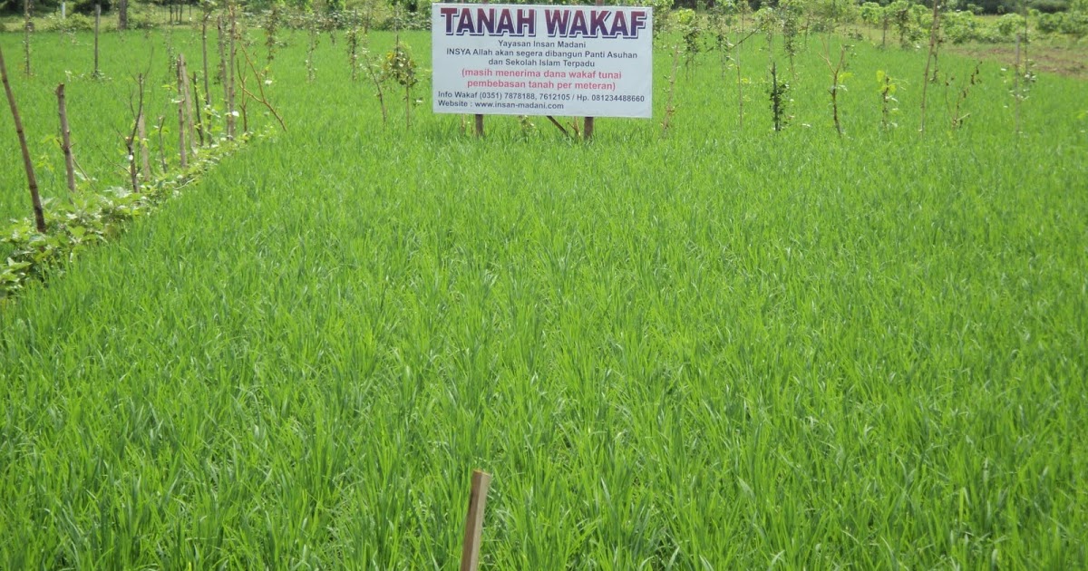 Optimalisasi Wakaf Produkstif