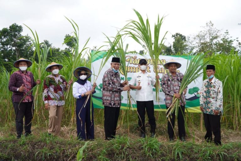 Capai Puluhan Hektar, Baru 1 Hektar Tanah Wakaf yang Diproduktifkan di Gunungkidul