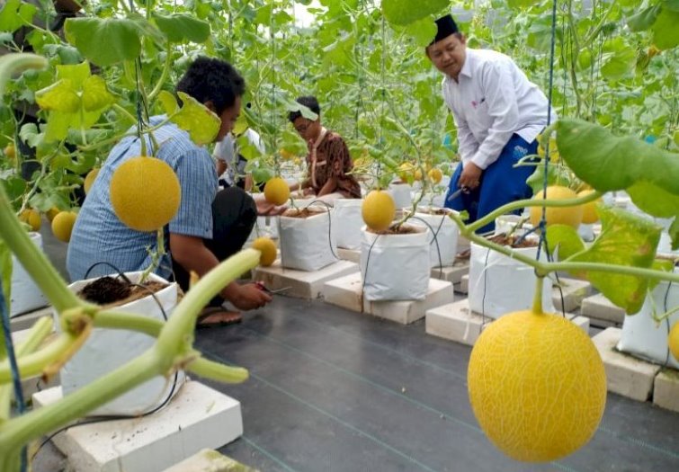 Materi Tanya Jawab Wakaf Seri 08, Pengelolaan Wakaf dari Hulu ke Hilir